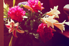 May – the time of love...